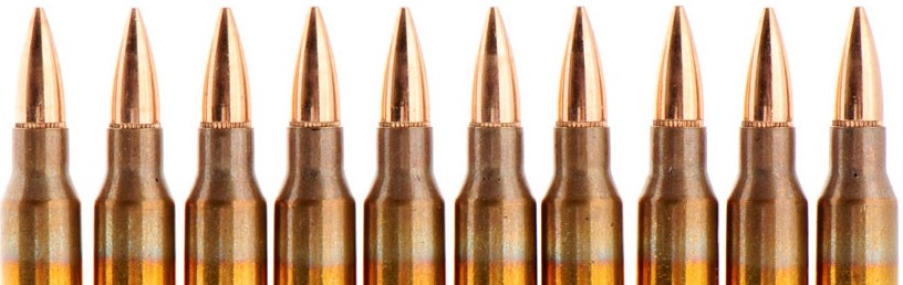 PMC 5.56 Ammo Image 5.56 ammo image